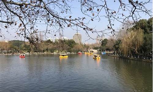 上海长风公园市文明单位吗_上海长风公园电