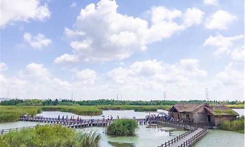 杭州湾湿地公园游玩攻略一日游_杭州湾湿地
