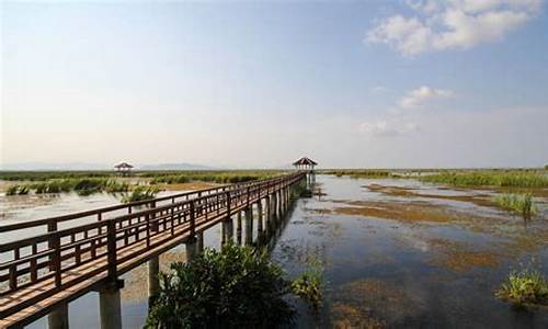 崇明岛自驾一日游攻略_崇明岛自驾一日游攻